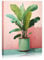 Vases Botanical Canvas Poster Green Plant Painting Wall Art House Plant Artwork Pink Wall Art for Living Room Bedroom Canvas With Wood Framed 12X16inches