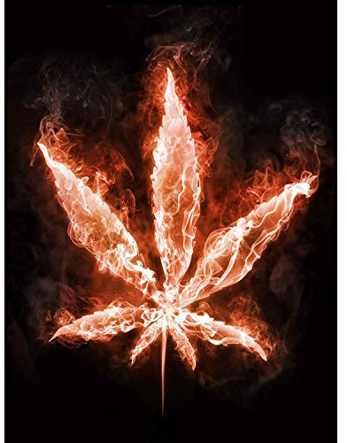 Bumblebeaver PAINTING MARIJUANA LEAF FLAMES FIRE WEED COOL BRIGHT POSTER PRINT Farbe Feuer Hell