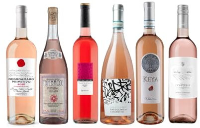 The Wine Guys Weinpaket Entdeckerpaket Roséweine Italiens (6 x 0,75 l)