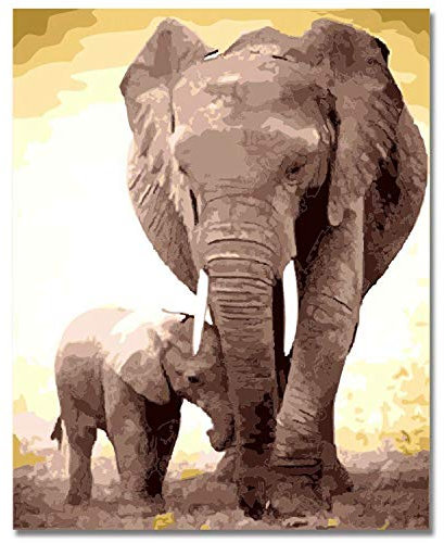 Wresetly DIY ÖLgemäLde, Malen Zahlen Kit-16 X 20 () Elefanten