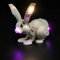 cooldac Beleuchtungsset für Lego 31133 White Rabbit, Decorative Lighting Set(nur Lichter, nicht Modelle)