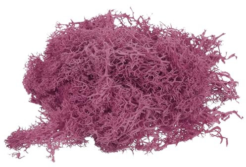 PATIKIL 1,8 OZ Faux Mousse, Conservé Renne Mousse Artificiel Mousse Lichen Centres Table décoratif Faux Mousse pour en-Pot Plantes Noël Artisanat, Rose Rouge