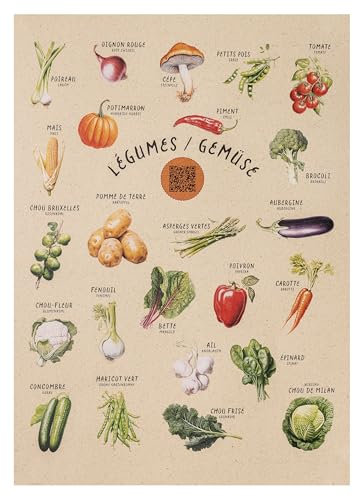 Premium Gemüsesorten Poster A3 mit QR-Code Rezepten | Nachhaltig gedruckte Küchenwandkunst | Hochwertige Wanddeko für Feinschmecker & Hobbyköche | Umweltfreundlich auf Graspapier