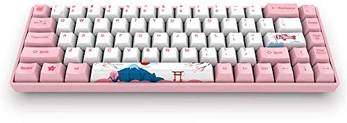NIUSABOU Clavier mécanique pour Jeux vidéo, Clavier de Jeu mécanique 68 Touches, Double Mode, Touches PBT, interrupteurs Rose, Marron et Rouge(Red Switch)