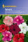 Petunia grandiflora Petunien Balkon-Mischung
