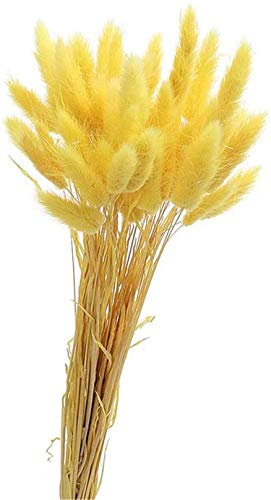 Yeehliny Pflanzenstiele, ländlicher Stil, Hasenschwanz Trockenblumen Deko ewig haltbar Pampasgras & getrocknete Blumen Pampasgras Trockenblumenstrauß Vase Deko,50 Stück (Gelb)