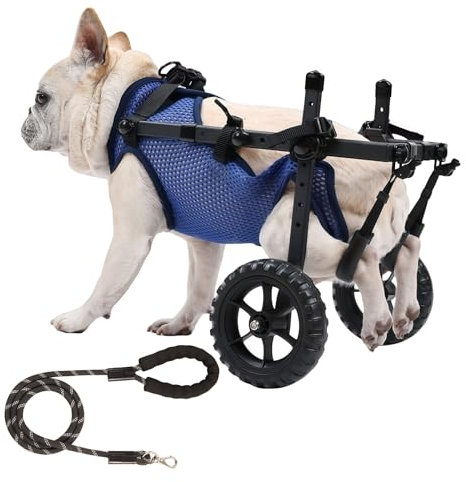 Rollstuhl für kleinen Hund - Schwarz - Leicht - Handicap des pieds arrières - Wagen verstellbar mit Rädern für hintere Füßen,Ausgestattet mit leisen Rädern und Atemgurteln