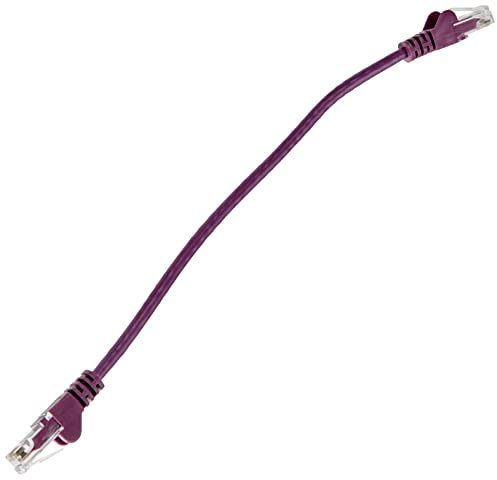 PremiumCord Câble Patch CAT6 UTP Ethernet LAN Rapide, Flexible et Durable RJ45 1Gbit/s, AWG 26/7, 100% Cuivre, Violet, 0,25 m