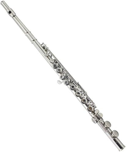 Flûte À Clé C 16 Trous Pour Gaucher, Trous Fermés, Instrument De Flûte Nickelé Avec Clé E Flûte Traversière Kit