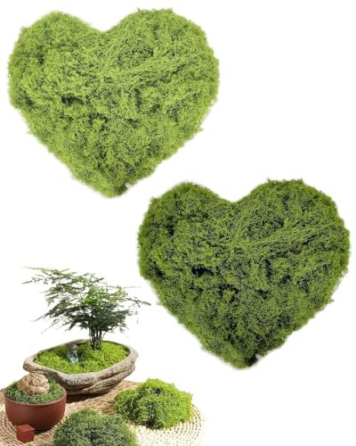 TPZORJX 100g Fausse Mousse Végétale Mousse Décorative Florales Plantes artificielles pour aquarium Noël et la décoration Murale dans la Maison