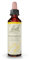 Fleurs de Bach Original, Hornbeam, No 17, pour plus d'entrain, aide à ne plus repousser les choses au lendemain. Elixir floral naturel pour le bien-être émotionnel. Compte-Gouttes 20ml, Vegan