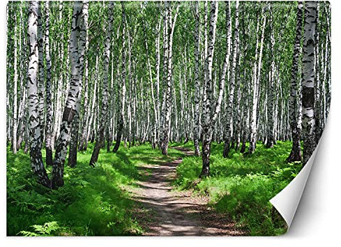 Feeby Fototapete XXL Weg Wald 400x280 cm mehrfarbig Vliestapete Moderne Design Wandtapete Küche Flur Wohnzimmer Büro Badezimmer Kinderzimmer Bäume Birken Natur