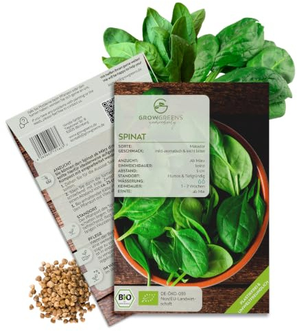 BIO Spinat Samen (Matador, 150 Korn) - Spinat Saatgut aus biologischem Anbau ideal für die Anzucht im Garten, Balkon oder Terrasse