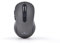 Bluestork - Souris sans Fil Rechargeable, Silencieuse, Récepteur USB, 2,5 Ghz, Souris sans Fil, 6 Boutons, Design Ergonomique, 800-1600 Dpi, Compatible Pc, Mac, Ordinateur Portable -2023 (Gris)