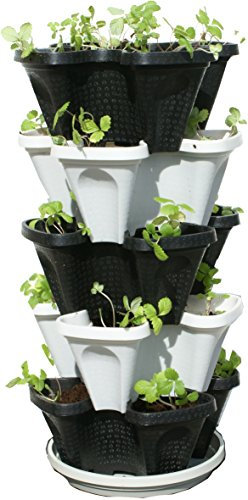 Mr. Stacky 5 Tier Black & Grey Stackable Strawberry Garden - Vertical Gardening Planter Set