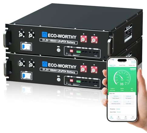 ECO-WORTHY 48V 200Ah LiFePO4 Lithium Battery (2 Pack 48V 100AH), Server Rack Battery with Bluetooth,10.24kWh Capacity, 6000 Deep Cycles, 3U Chassis, Ideal for Off-Grid, Solar, Energy Back-up