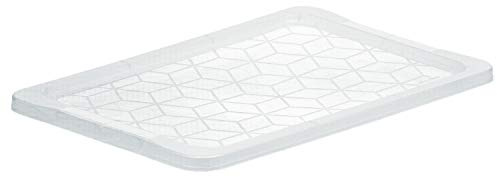 Rotho Evo Easy Deckel, Kunststoff (lebensmittelecht) BPA-frei, transparent, (59,0 x 39,5 x 2,0 cm)