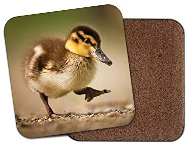 #15443 Untersetzer mit Enten-Enten-Motiv, für Kinder, Mädchen, lustiges Wildgeschenk