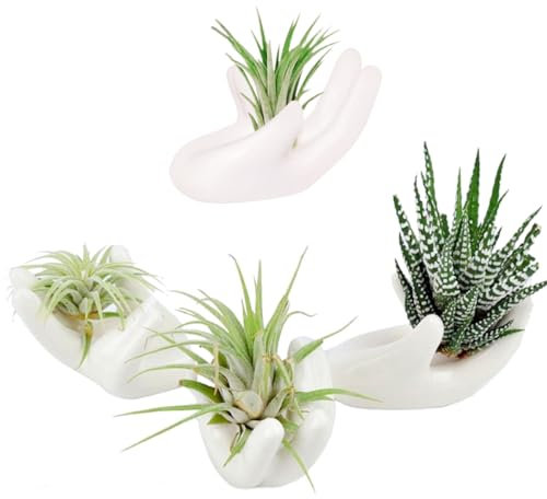 ourhommie Air Plant Holder Cute Ceramic Airplants Tillandsia Succulent Display Container Pot Home Decor for Desk Table Shelf (4pcs)