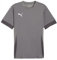 PUMA Unisex Teamgoal Matchday Jr Fußballtrikot, Cast Iron-puma White-Shadow Gray, 164 EU