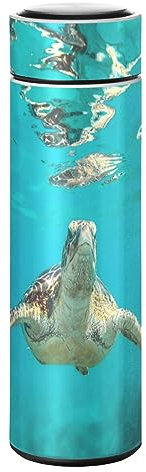 KAAVIYO Tortue De Mer Bouteille d'eau Isotherme Mug pour en Acier Inoxydable Isolé