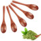 Xbessc 10 Pièces 14,5x3 cm Petite Cuillere en Bois Cuillère en Bois de Cuisine Cuillère à Miel en Bois Naturel Mini Cuillères de Service pour Thé Café Miel Sucre Soupe Condiments Confiture