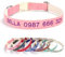 CUUOOT Personalisiertes Leder Hundehalsband, Doppellagiges Material Halsband mit Namen und Telefonnummer, einstellbare Größen für kleine, mittlere und große Hunde