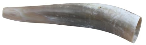 Weisskirchen Ochsenhorn 40cm Hirschruf, geeignet für die Jagd oder Tierbeobachtung von Rotwild, Wildlocker, Lockinstrument