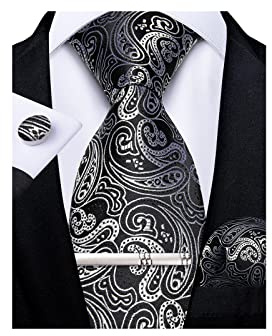 DiBanGu Silk Silver Mens Tie Paisley Necktie and Pocket Square Cufflinks Tie Clip Set Woven Formal Ties for Business