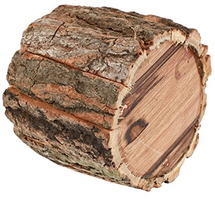 DOITOOL Holzfass Kleiner Holzeimer Baumwurzel-blumentopf Baumstumpfpflanzer Draussen Pflanzkübel Aus Holz Fasspflanzgefäße Für Freilandpflanzen Blumeneimerfass Massivholz Teelicht Hölzern