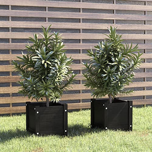 WIFESE Jardinièrs Surélevés 2 Pcs Noir 31x31x31 cm Bois de Pin Massif Pot de Fleurs Suffisamment d'espace Plantes Herbes Légumes Lit Surélevé de Jardin Décorer Balcon Patio Terrasse