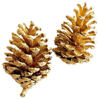 Wambere 6 Stück Tannenzapfen,Weihnachten Tannenzapfen Dekoration,Natürliche Tannenzapfen Anzapfen Basteln,Christmas Ornaments Christbaumschmuck Weihnachtsschmuck,für Weihnachten Party Deko,Gold 7-9cm