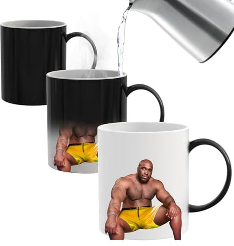 Funny Gifts for Men Women,Christmas Secret Santa Gifts for Him,Funny Heat Transition Mug,Novelty Present for Men Friends on Christmas Birthday Anniversary