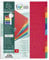 Exacompta 2410E Premium-Register für DIN A4 MAXI aus starkem Colorspankarton 10-teilig volle Höhe 24 x 30 cm vollfarbig 10 Farben mit Indexseite zum selbstgestalten Trennblätter Trennstreifen
