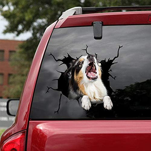 Ocean Gift Australian Shepherd Auto Decals, Hund Auto Aufkleber 2 Stück - Aufkleber für Autofenster, Wände Serie 25 Größe 30,5 cm x 30,5 cm