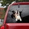 Ocean Gift Australian Shepherd Auto Decals, Hund Auto Aufkleber 2 Stück - Aufkleber für Autofenster, Wände Serie 25 Größe 30,5 cm x 30,5 cm