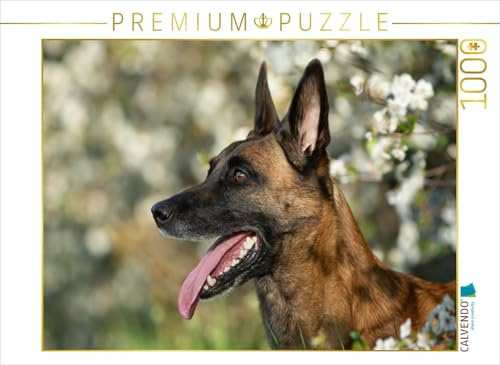 CALVENDO Puzzle Malinoishündin | 1000 Teile Lege-Größe 64 x 48 cm Foto-Puzzle für glückliche Stunden