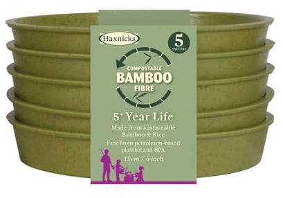 Haxnicks Lot de 5 soucoupes en Bambou pour Pot de Fleurs Vert Sauge 15 cm