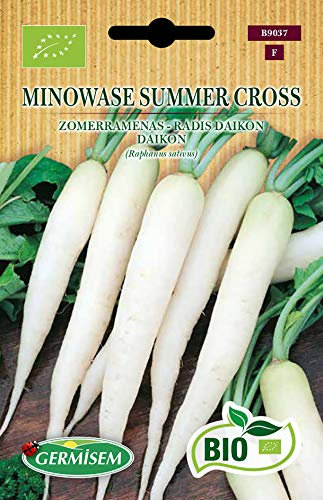 Germisem Daikon MINOWASE SUMMER CROSS, ECBIO9037