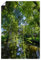 ARTland Wanddeko Poster & Kunstdrucke Wandposter 60x90 cm Hochformat Landschaft Natur Wald Bäume Wasser Fluss Kanal Sonnenlicht Spreewald U3NZ