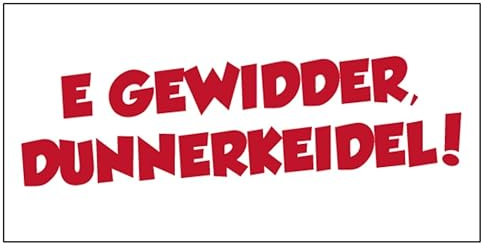 Fun Aufkleber Pfälzer Sprüche „E Gewidder, Dunnerkeidel!“ Schild Folie selbstklebend | Größe wählbar Made in Germany, Größen Name: 10x20cm