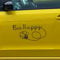 KLEBEKÖNIG Bee Happy 30 x 15cm Aufkleber für das Auto, Motorrad, Heckscheiben Sticker Tuning Autoaufkleber