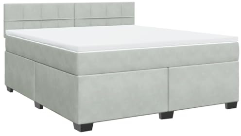 vidaXL Boxspringbett mit Matratze Hellgrau 180x200 cm Samt