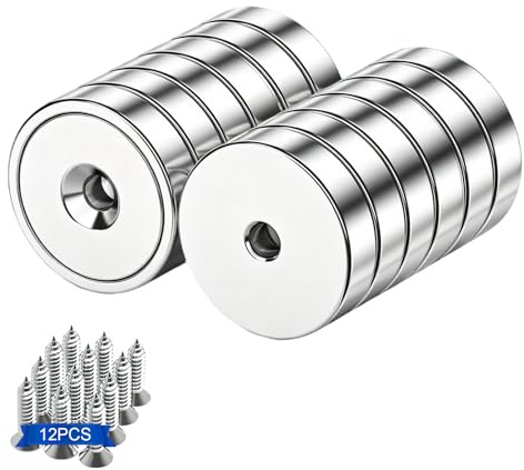 Magnete mit Loch, Neodym Magnet Stark 20mm Magnetic Runde Starker Magneten mit Gewinde, mit Schraube 10KG - Für Büro, Werkstatt & Lager, 12 Stück