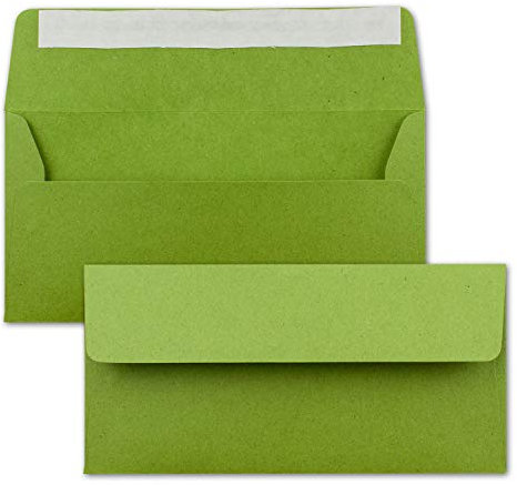 25x Kraftpapier-Umschläge DIN Lang - Hell-Grün - Haftklebung 11 x 22 cm - Brief-Umschläge aus Recycling-Papier - Vintage Kuverts von NEUSER PAPIER
