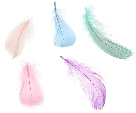 STOBOK 200 Pièces la plume décor beaux accessoires de bricolage accessoires de sac accessoires pendentifs élégants Vêtements & Accessoires Macaron Provisions boite cadeau d'animaux