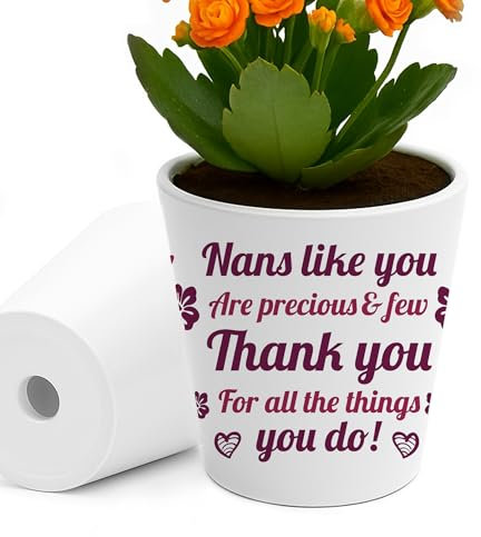 RED OCEAN Nanny Birthday Gifts Best Nanny Ever Plant Pot Gifts For from Grandchildren Unique Garden Gift Ideas for on Birthday Mothers Day Christmas