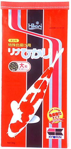 Hikari Fischfutter Spirulina Large 5 kg, 1er Pack (1 x 5 kg)