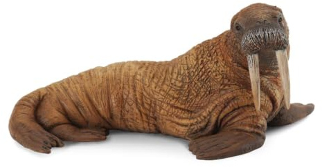 Collecta – 3388569 – Figur – Meerestiere – Morse
