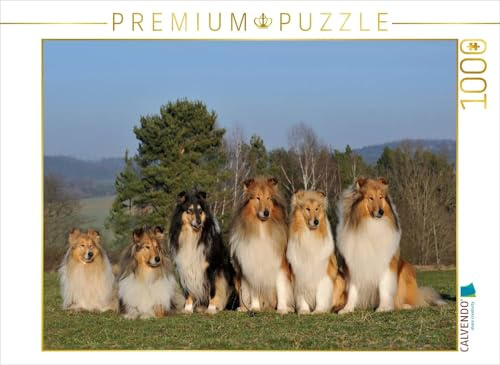 CALVENDO Puzzle EIN Motiv aus dem Kalender Faszination Collie 2017 | 1000 Teile Lege-Größe 64 x 48 cm Foto-Puzzle für glückliche Stunden